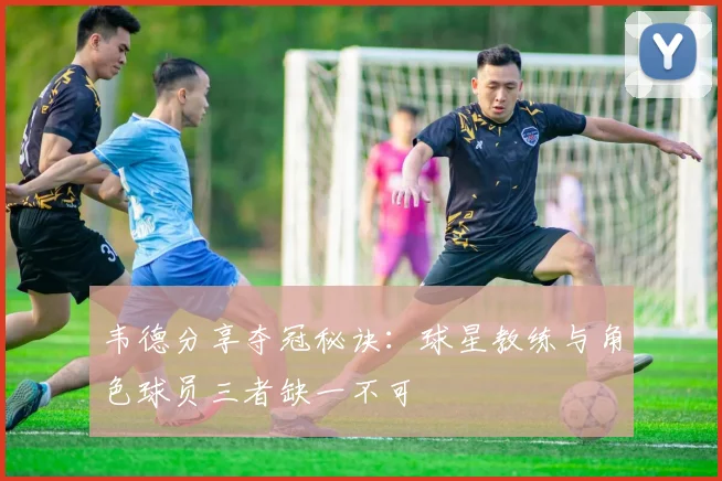 韦德分享夺冠秘诀：球星教练与角色球员三者缺一不可
