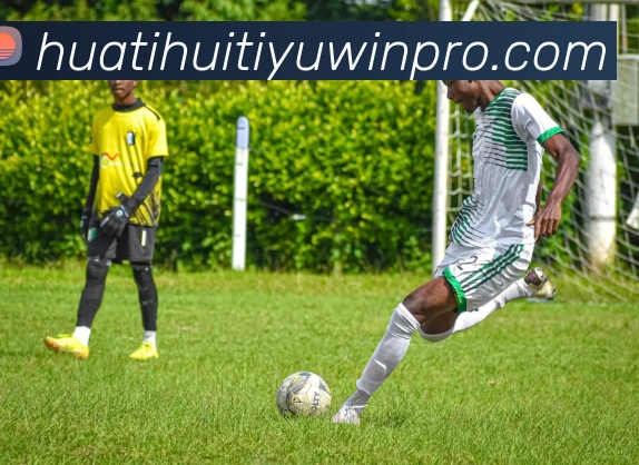 华体会体育发展历程